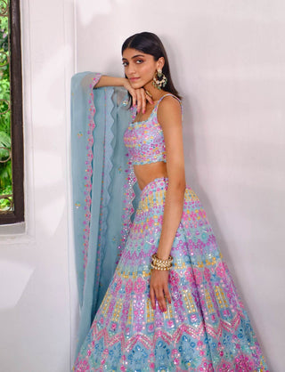 Aneesh Agarwaal-Powder Blue Floral Lehenga Set-INDIASPOPUP.COM