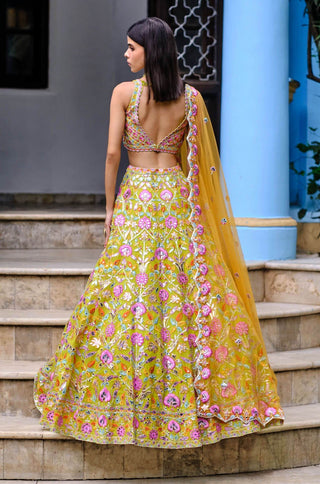 Aneesh Agarwaal-Lime Green Floral Lehenga Set-INDIASPOPUP.COM