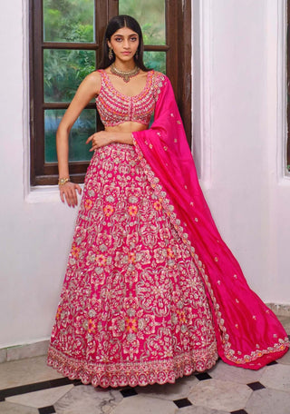 Aneesh Agarwaal-Pink Zardosi Lehenga Set-INDIASPOPUP.COM