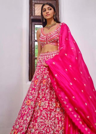 Aneesh Agarwaal-Pink Zardosi Lehenga Set-INDIASPOPUP.COM