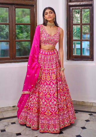 Aneesh Agarwaal-Rani Pink Embroidery Lehenga Set-INDIASPOPUP.COM