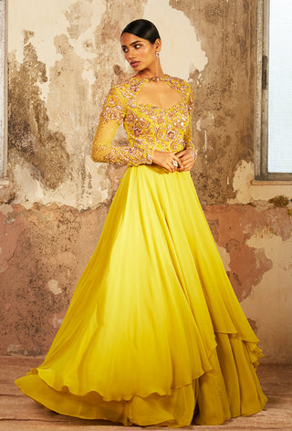 Shloka Khialani-Azi Lime Double Layered Anarkali-INDIASPOPUP.COM
