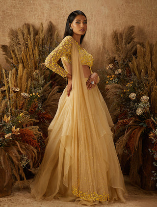 Shloka Khialani-Beige Dahlia Embellished Lehenga Set-INDIASPOPUP.COM