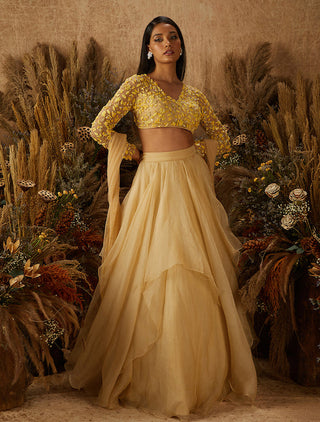 Shloka Khialani-Beige Dahlia Embellished Lehenga Set-INDIASPOPUP.COM