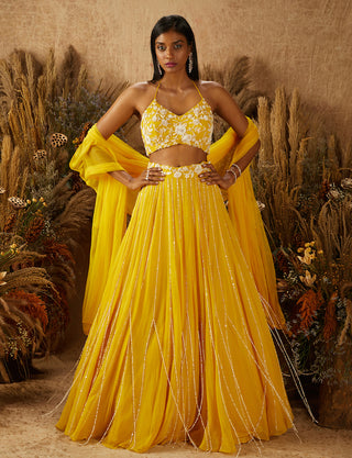 Shloka Khialani-Yellow Jaune Embellished Lehenga Set-INDIASPOPUP.COM