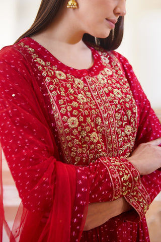 Shyam Narayan Prasad-Maroon Embroidered Anarkali Set-INDIASPOPUP.COM