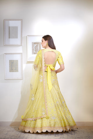 Shyam Narayan Prasad-Yellow Embroidered Lehenga Set-INDIASPOPUP.COM