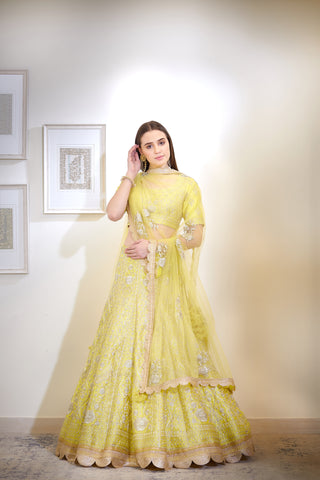 Shyam Narayan Prasad-Yellow Embroidered Lehenga Set-INDIASPOPUP.COM