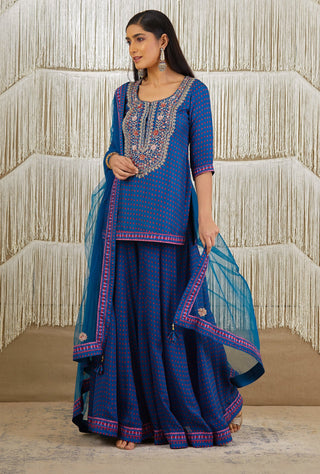 Shyam Narayan Prasad-Teal Blue Embroidered Sharara Set-INDIASPOPUP.COM