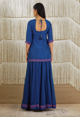 Shyam Narayan Prasad-Teal Blue Embroidered Sharara Set-INDIASPOPUP.COM