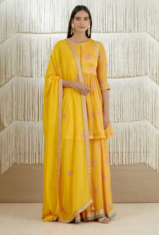 Shyam Narayan Prasad-Mustard Embroidered Sharara Set-INDIASPOPUP.COM
