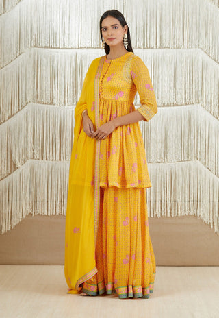 Shyam Narayan Prasad-Mustard Embroidered Sharara Set-INDIASPOPUP.COM