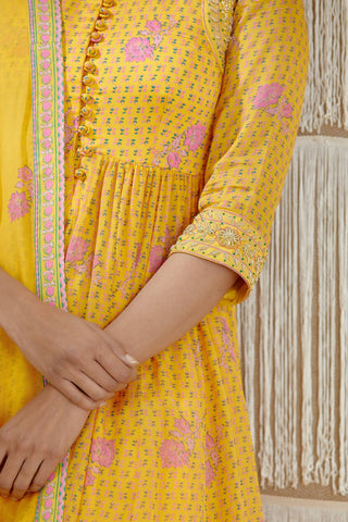 Shyam Narayan Prasad-Mustard Embroidered Sharara Set-INDIASPOPUP.COM