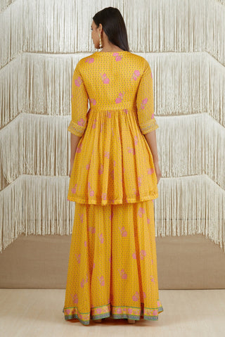 Shyam Narayan Prasad-Mustard Embroidered Sharara Set-INDIASPOPUP.COM