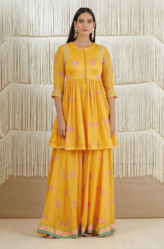 Shyam Narayan Prasad-Mustard Embroidered Sharara Set-INDIASPOPUP.COM