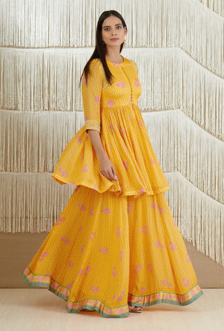 Shyam Narayan Prasad-Mustard Embroidered Sharara Set-INDIASPOPUP.COM