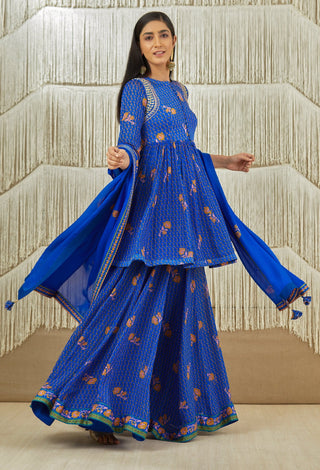 Shyam Narayan Prasad-Royal Blue Embroidered Sharara Set-INDIASPOPUP.COM