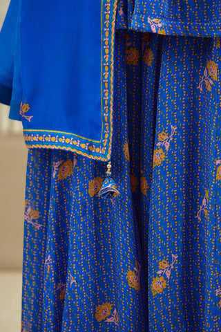 Shyam Narayan Prasad-Royal Blue Embroidered Sharara Set-INDIASPOPUP.COM