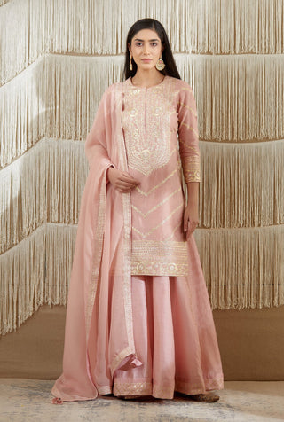 Shyam Narayan Prasad-Powder Pink Embroidered Sharara Set-INDIASPOPUP.COM