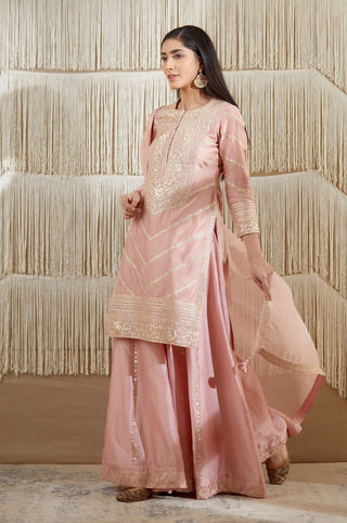 Shyam Narayan Prasad-Powder Pink Embroidered Sharara Set-INDIASPOPUP.COM
