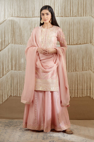 Shyam Narayan Prasad-Powder Pink Embroidered Sharara Set-INDIASPOPUP.COM