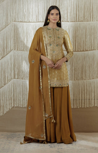 Shyam Narayan Prasad-Dark Olive Embroidered Sharara Set-INDIASPOPUP.COM