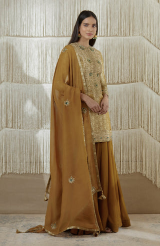 Shyam Narayan Prasad-Dark Olive Embroidered Sharara Set-INDIASPOPUP.COM