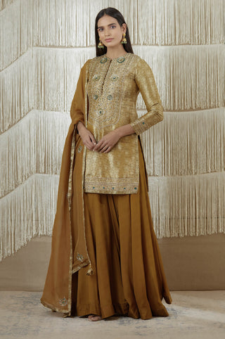 Shyam Narayan Prasad-Dark Olive Embroidered Sharara Set-INDIASPOPUP.COM