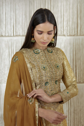 Shyam Narayan Prasad-Dark Olive Embroidered Sharara Set-INDIASPOPUP.COM