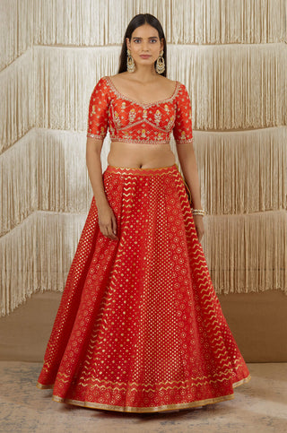 Shyam Narayan Prasad-Red Zardozi Embroidered Lehenga Set-INDIASPOPUP.COM