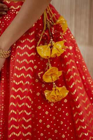 Shyam Narayan Prasad-Red Zardozi Embroidered Lehenga Set-INDIASPOPUP.COM