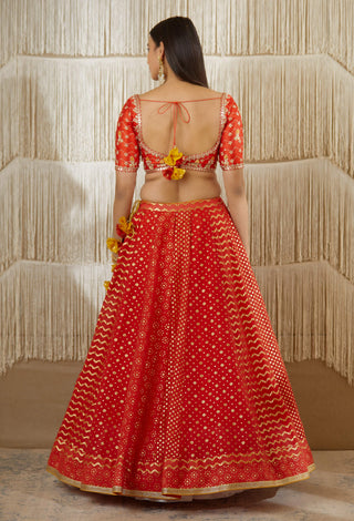 Shyam Narayan Prasad-Red Zardozi Embroidered Lehenga Set-INDIASPOPUP.COM