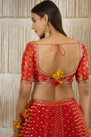 Shyam Narayan Prasad-Red Zardozi Embroidered Lehenga Set-INDIASPOPUP.COM