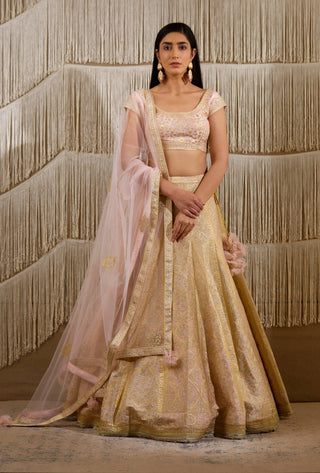 Shyam Narayan Prasad-Light Pink Embroidered Lehenga Set-INDIASPOPUP.COM