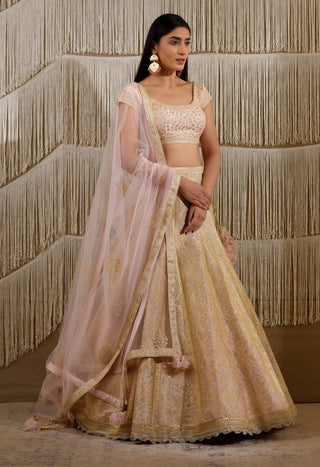 Shyam Narayan Prasad-Light Pink Embroidered Lehenga Set-INDIASPOPUP.COM