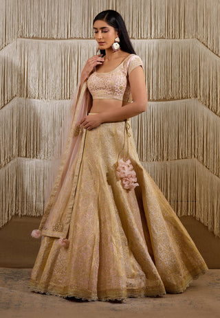 Shyam Narayan Prasad-Light Pink Embroidered Lehenga Set-INDIASPOPUP.COM