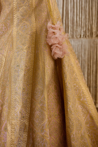 Shyam Narayan Prasad-Light Pink Embroidered Lehenga Set-INDIASPOPUP.COM