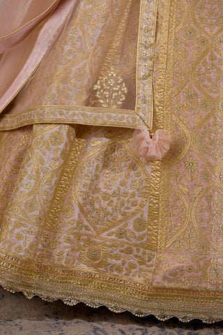 Shyam Narayan Prasad-Light Pink Embroidered Lehenga Set-INDIASPOPUP.COM