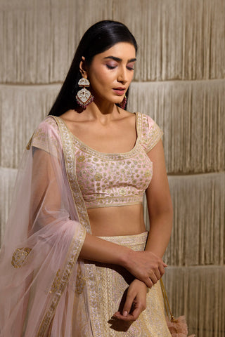 Shyam Narayan Prasad-Light Pink Embroidered Lehenga Set-INDIASPOPUP.COM