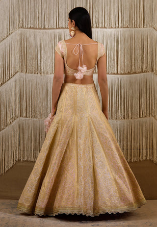 Shyam Narayan Prasad-Light Pink Embroidered Lehenga Set-INDIASPOPUP.COM