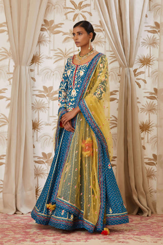 Shyam Narayan Prasad-Blue Embroidered Kurta Skirt Set-INDIASPOPUP.COM