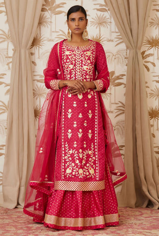 Shyam Narayan Prasad-Pink Embroidered Kurta Skirt Set-INDIASPOPUP.COM