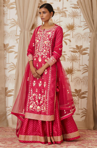 Shyam Narayan Prasad-Pink Embroidered Kurta Skirt Set-INDIASPOPUP.COM