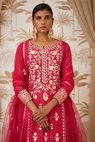 Shyam Narayan Prasad-Pink Embroidered Kurta Skirt Set-INDIASPOPUP.COM