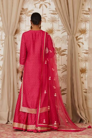 Shyam Narayan Prasad-Pink Embroidered Kurta Skirt Set-INDIASPOPUP.COM