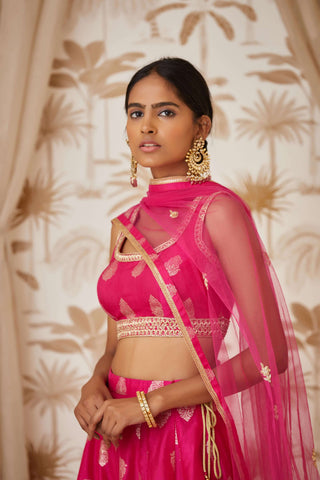 Shyam Narayan Prasad-Pink Brocade Silk Lehenga Set-INDIASPOPUP.COM
