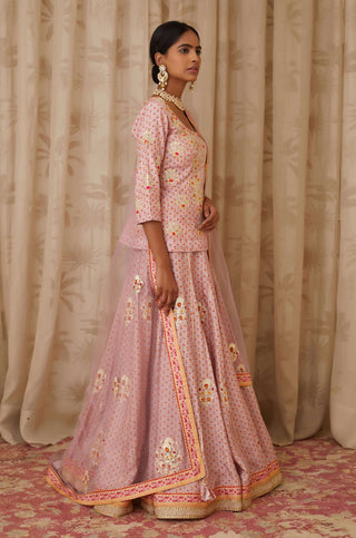 Shyam Narayan Prasad-Purple Embroidered Short Kurta & Skirt Set-INDIASPOPUP.COM
