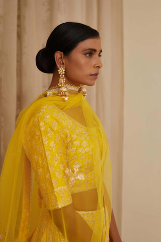 Shyam Narayan Prasad-Yellow Embroidered Lehenga Set-INDIASPOPUP.COM