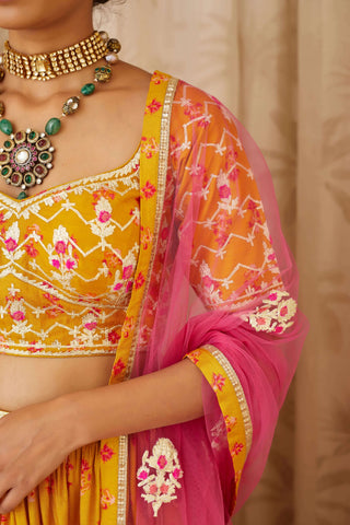 Shyam Narayan Prasad-Mustard Embroidered Lehenga Set-INDIASPOPUP.COM