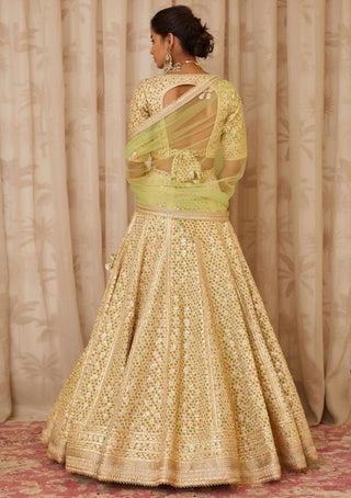 Shyam Narayan Prasad-Green Embroidered Lehenga Set-INDIASPOPUP.COM